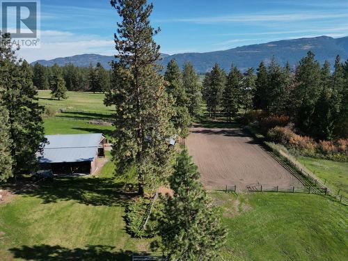 2150 Rashdale Road, Spallumcheen, BC - Outdoor With View