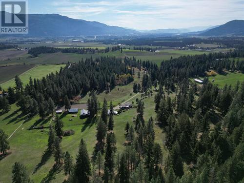 2150 Rashdale Road, Spallumcheen, BC - Outdoor With View