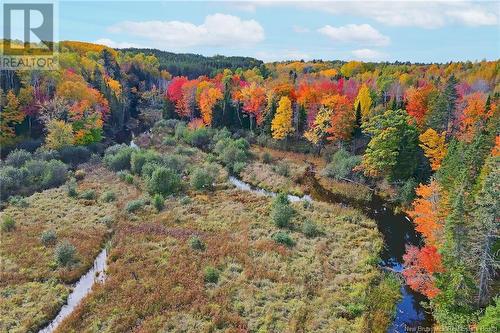 - 690 Route, Flowers Cove, NB 