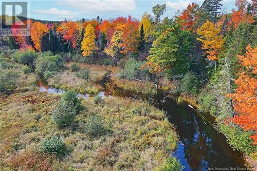 - 690 Route, Flowers Cove, NB 