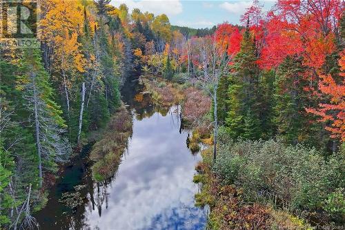 - 690 Route, Flowers Cove, NB 