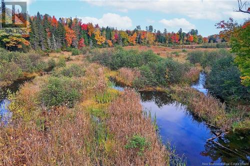 - 690 Route, Flowers Cove, NB 