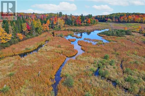 - 690 Route, Flowers Cove, NB 