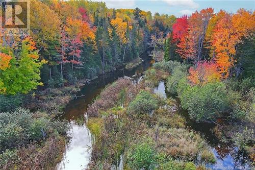 - 690 Route, Flowers Cove, NB 