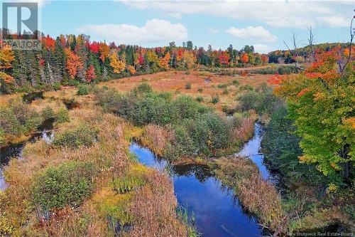 - 690 Route, Flowers Cove, NB 