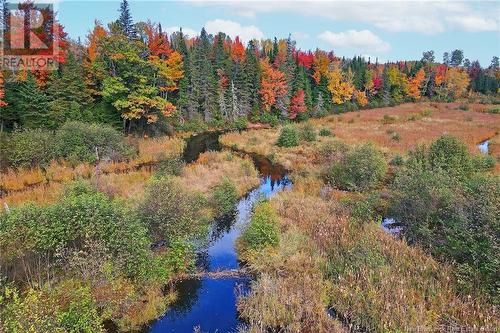 - 690 Route, Flowers Cove, NB 