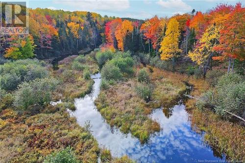 - 690 Route, Flowers Cove, NB 