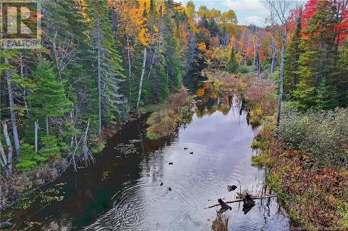 - 690 Route, Flowers Cove, NB 