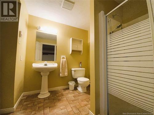 65 Des Prés Street, Edmundston, NB - Indoor Photo Showing Bathroom