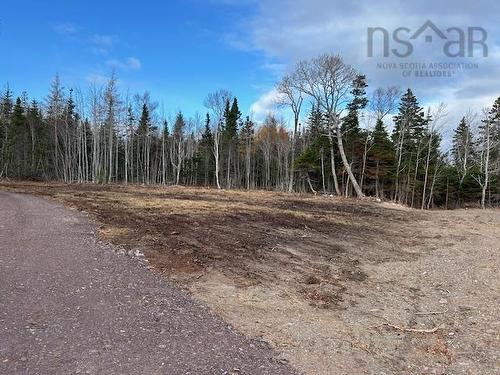 Lot 1A-9 Birch Crescent, Cape George, NS 