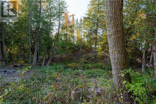 Treed lot - 000 Shipley Avenue, Port Elgin, ON 