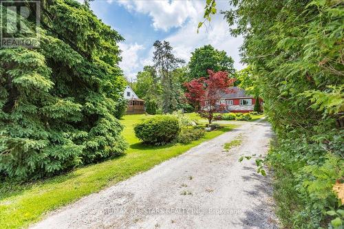 3369 Baseline Road, Georgina, ON - Outdoor