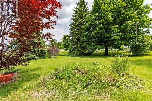 3369 Baseline Road, Georgina, ON - Outdoor