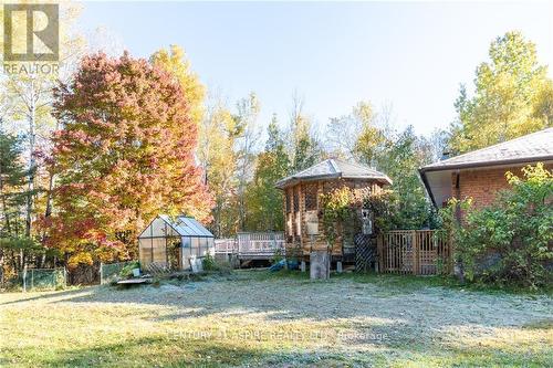 254 Lubitz Road, Laurentian Valley, ON - Outdoor With Backyard