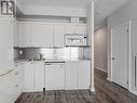 1531 - 111 Elizabeth Street, Toronto, ON  - Indoor Photo Showing Kitchen With Double Sink 