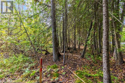 Part Farm Lot 4 Nicholas Street, Tobermory, ON 