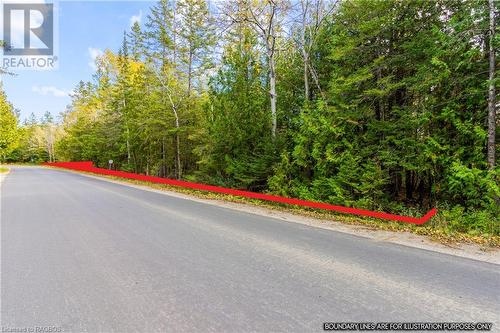 Part Farm Lot 4 Nicholas Street, Tobermory, ON 