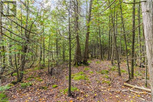 Part Farm Lot 4 Nicholas Street, Tobermory, ON 