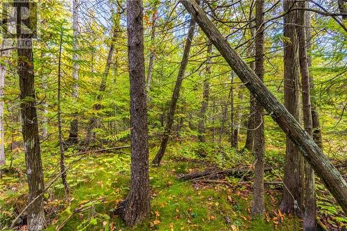 Part Farm Lot 4 Nicholas Street, Tobermory, ON 