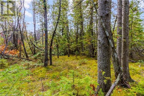 Part Farm Lot 4 Nicholas Street, Tobermory, ON 