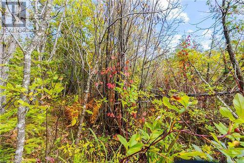 Part Farm Lot 4 Nicholas Street, Tobermory, ON 