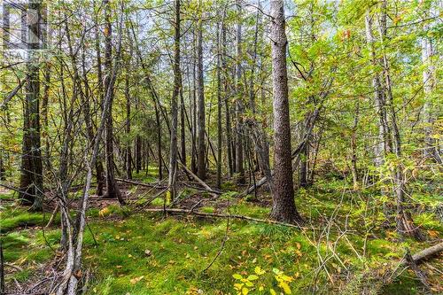 Part Farm Lot 4 Nicholas Street, Tobermory, ON 