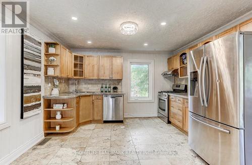 115 Crosby Avenue, Richmond Hill, ON - Indoor Photo Showing Kitchen