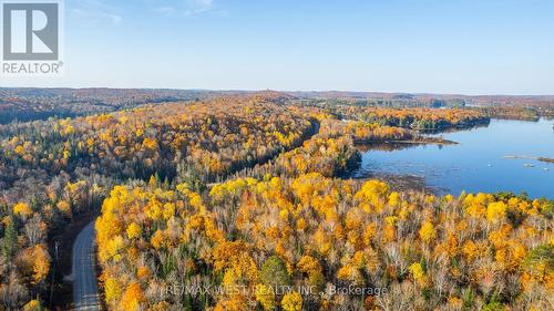 0 Kawagama Lake Road, Algonquin Highlands, ON 