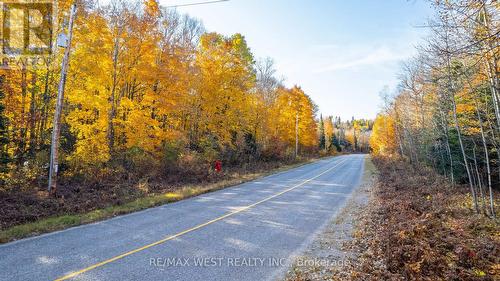 0 Kawagama Lake Road, Algonquin Highlands, ON 