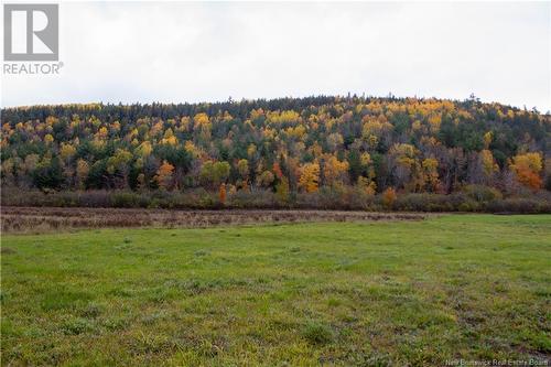 Lot 2022-3 Route 895 (Portage Rd), Elgin, NB 