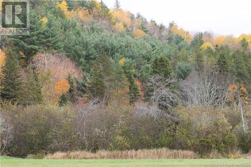 Lot 2022-3 Route 895 (Portage Rd), Elgin, NB 