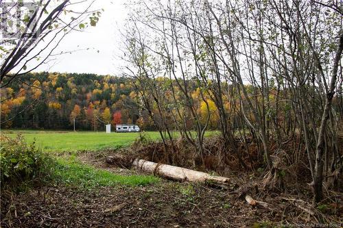 Lot 2022-3 Route 895 (Portage Rd), Elgin, NB 