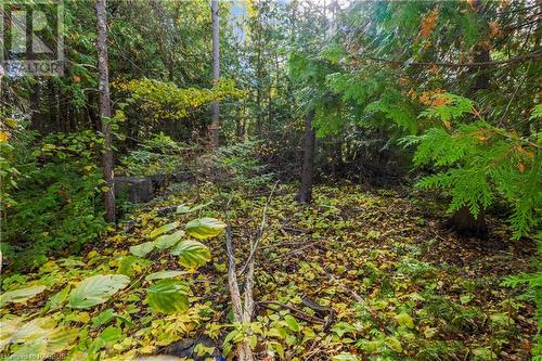 Part Farm Lot 4 Nicholas Street, Tobermory, ON 