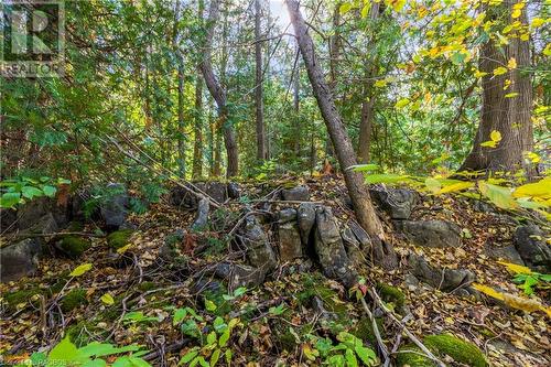 Part Farm Lot 4 Nicholas Street, Tobermory, ON 