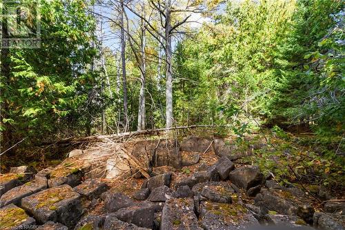 Part Farm Lot 4 Nicholas Street, Tobermory, ON 