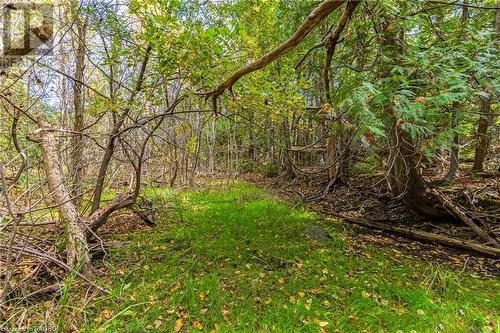 Part Farm Lot 4 Nicholas Street, Tobermory, ON 