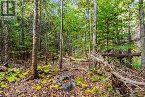 Part Farm Lot 4 Nicholas Street, Tobermory, ON 