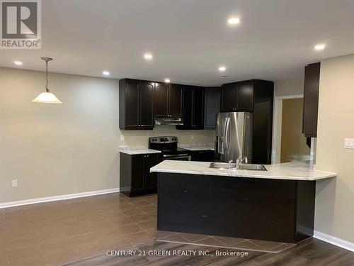 258 Gleave Terrace, Milton, ON - Indoor Photo Showing Kitchen With Stainless Steel Kitchen