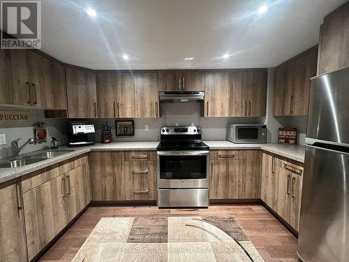 Bsmt - 157 Embassy Drive, Vaughan, ON - Indoor Photo Showing Kitchen With Double Sink