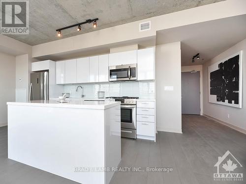 614 - 203 Catherine Street, Ottawa, ON - Indoor Photo Showing Kitchen