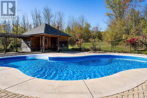 1428 10 Nottawasaga Conc. N, Clearview, ON - Outdoor With In Ground Pool With Backyard