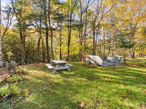 Backyard - 151 Ch. Claude-Lefebvre, Mont-Tremblant, QC - Outdoor