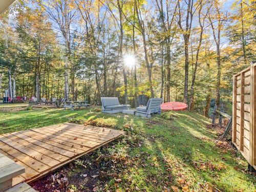 Backyard - 151 Ch. Claude-Lefebvre, Mont-Tremblant, QC - Outdoor