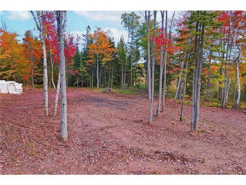 - 690 Rte, Flowers Cove, NB 