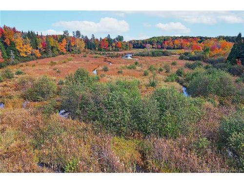 - 690 Rte, Flowers Cove, NB 