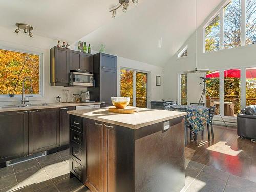 Cuisine - 167 Ch. Des Merisiers, Lantier, QC - Indoor Photo Showing Kitchen