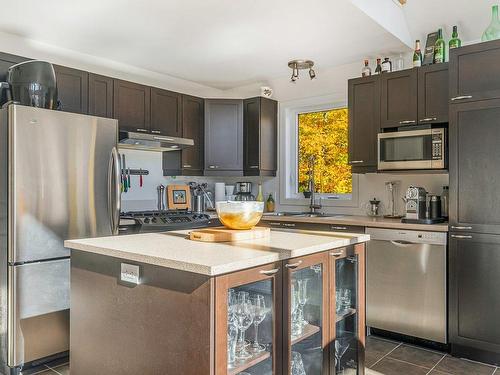 Kitchen - 167 Ch. Des Merisiers, Lantier, QC - Indoor Photo Showing Kitchen