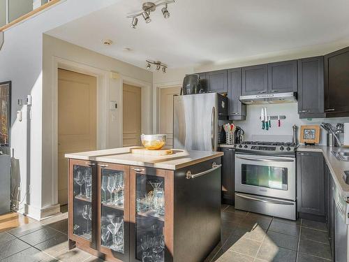 Kitchen - 167 Ch. Des Merisiers, Lantier, QC - Indoor Photo Showing Kitchen