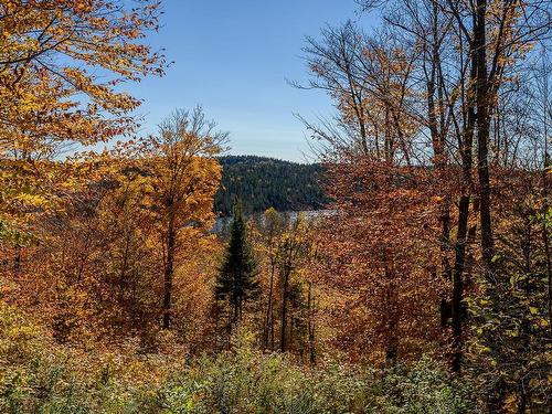 Vue - 167 Ch. Des Merisiers, Lantier, QC - Outdoor With View