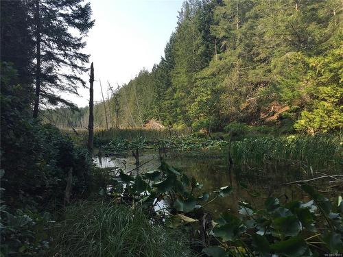 0 Trematon Lake, Lasqueti Island, BC 